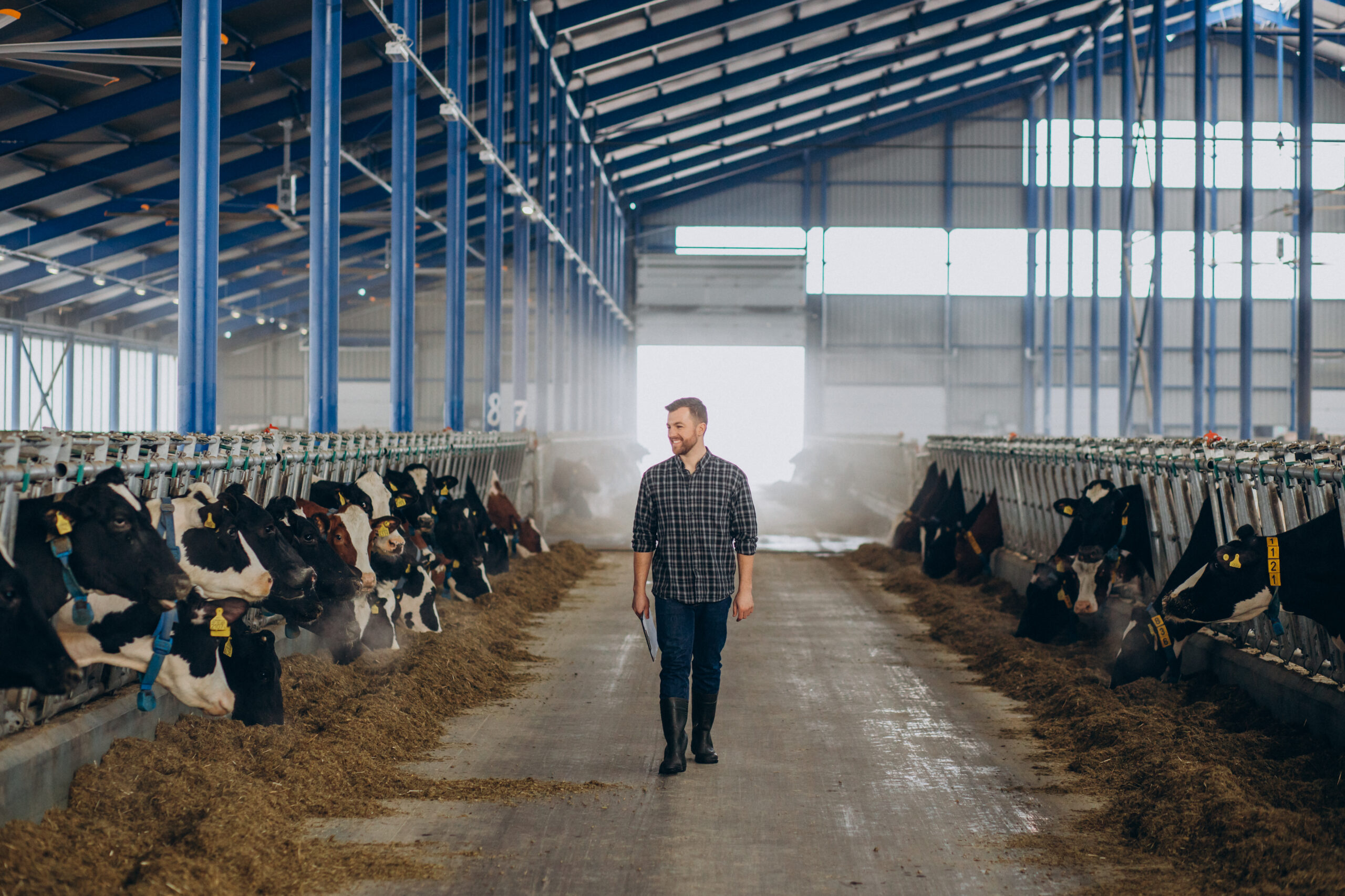 Livestock